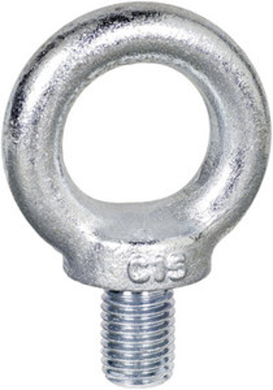 Afbeeldingen van OOGBOUT ELVZ DIN 580 C15E M16