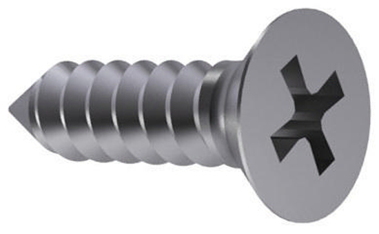 Afbeeldingen van PLAATSCHROEF KK RVS D7982 CH 3,9x19