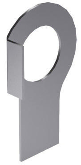 Afbeeldingen van LIPBORGPLAAT D463 RVS A2 M6