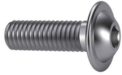 Afbeeldingen van BZK LAAGBOLKOPSCHR+FLENS RVS M6X10