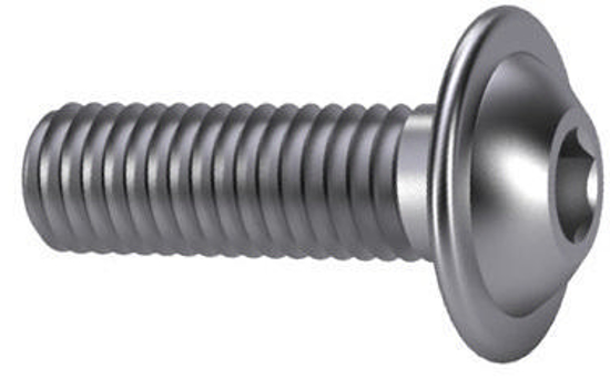 Afbeeldingen van BZK LAAGBOLKOPSCHR+FLENS RVS M8x20