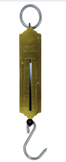 Afbeeldingen van VEERWEEGSCHAAL max 50KG